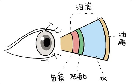 经常「翻白眼」能保护眼睛？