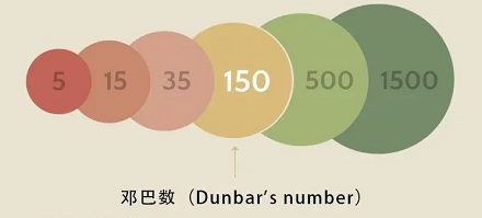 「邓巴数字」，社交圈人数上限？