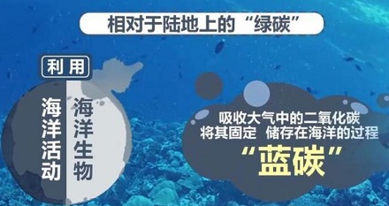 地球上 93% 的二氧化碳储存在哪里？