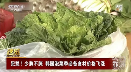 韩国为啥要紧急进口中国大白菜？