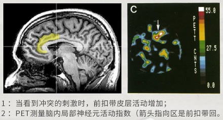 为什么看到有颜色的字，会先愣一下？