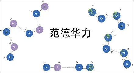 壁虎为什么能在玻璃墙上来去自如？