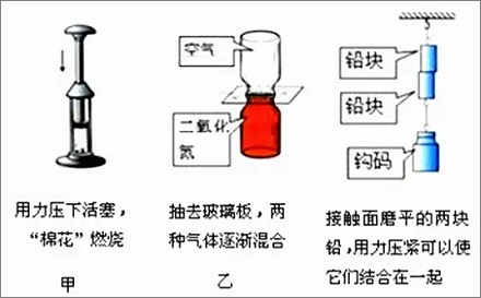 壁虎为什么能在玻璃墙上来去自如？