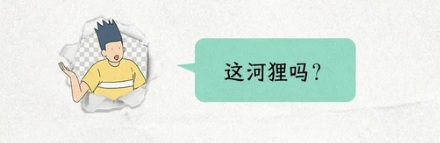 为什么零下三十度的大兴安岭，只冻人不冻河？