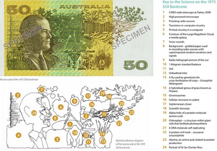 为什么澳大利亚的老版纸市上印着苍蝇？