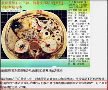 为什么有的超声检测前一定要憋尿？