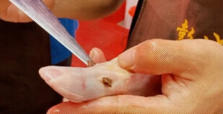 为什么吃猪肉鸭肉时吃到粘牙的东西要赶紧丢掉?