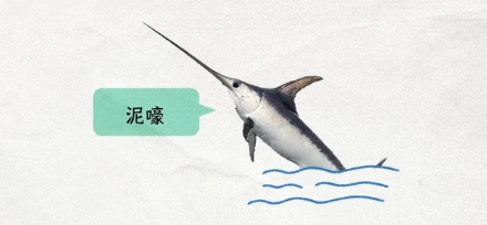 为什么在船上上厕所,要冒生命危险?