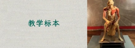 大体老师工作多长时间后,才能退休?
