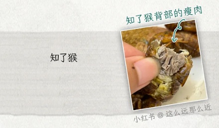 蟑螂如果和小龙虾一样大，能吃吗？