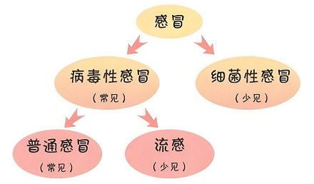 为什么夏天感冒比冬天难好?