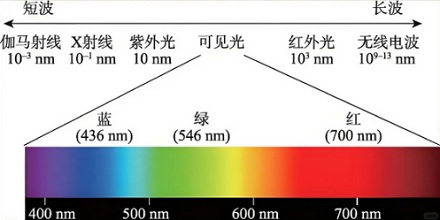 明明能看到,为什么科学家却说粉红色根本不存在?