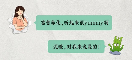 为什么玄武湖每晚都要加水?