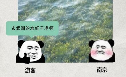 为什么玄武湖每晚都要加水?