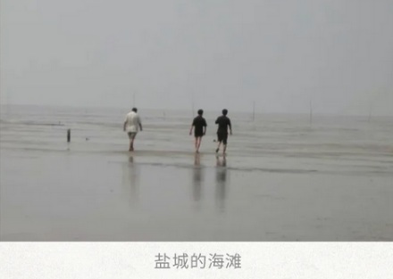 江苏有九百多公里的海岸线，为什么几乎没有岛？