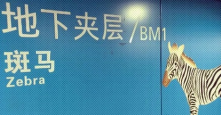 为啥很多机场爱用动物或水果给楼层起名?