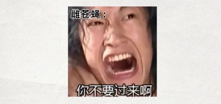 为什么美国要往墨西哥投放几十亿只苍蝇?