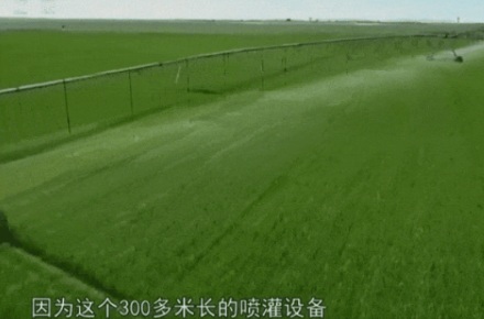 内蒙古沙地上密密麻麻的圆圈是干什么用的?