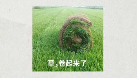 内蒙古沙地上密密麻麻的圆圈是干什么用的?