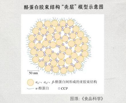 为什么牛奶是白的，奶粉却是黄的？