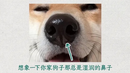 明明成分一样,为什么洗澡时候放的屁就特别臭?
