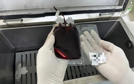 为什么脐带血可以治疗白血病？