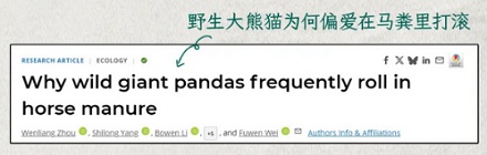为什么素岭的大熊猫冬天一看见马粪就兴奋？