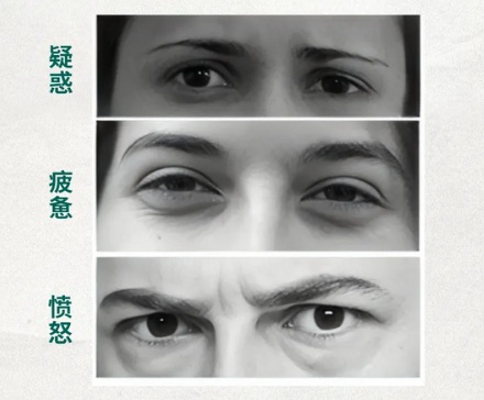 为什么只有人类的眼睛有大块眼白?