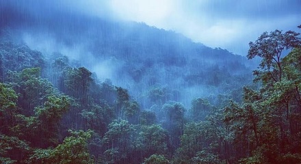 为什么山上会有流不完的水？山顶一直在下雨？