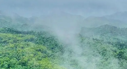 为什么山上会有流不完的水？山顶一直在下雨？