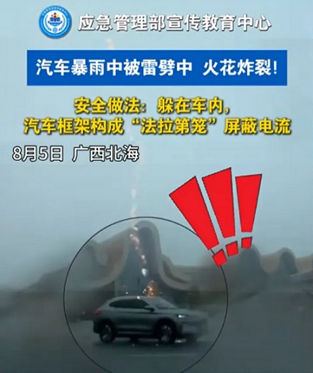 为什么微波炉的门上都要嵌一大块黑色网？