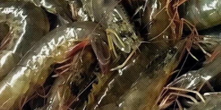 市场里卖的对虾为什么要叫对虾，真的是一对吗？