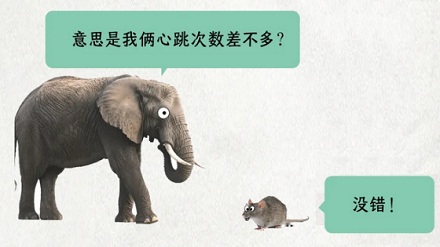 为什么几乎所有哺乳动物的心跳,都是一生 7 亿次左右?