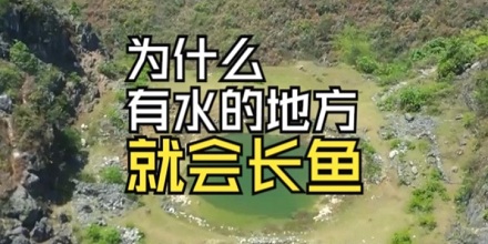 为什么有水的地方就会自动长鱼?