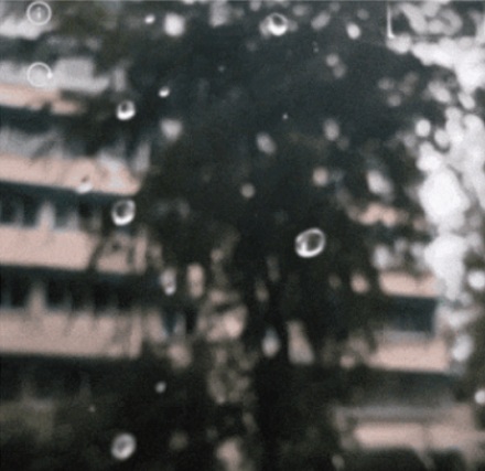 为什么全世界的雨滴图案都画错了?
