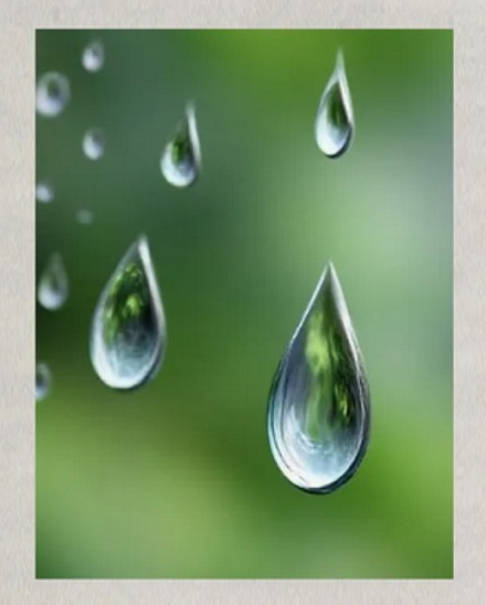 为什么全世界的雨滴图案都画错了?