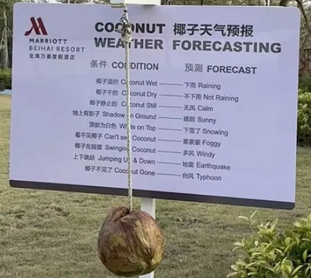 酒店为什么要在草坪上挂个椰子？