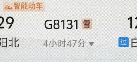 为什么 12306 购票页面上，有些列车后面跟个「雪」字？