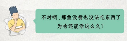 为啥金鱼没了头还能活两周，人却不行？
