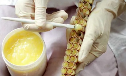 明明都是蜜蜂产的，为什么说蜂王浆是荤的，而蜂蜜是素的？