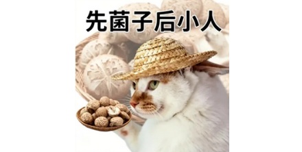 为什么每年 6-9 月全云南的人都在等一条短信？