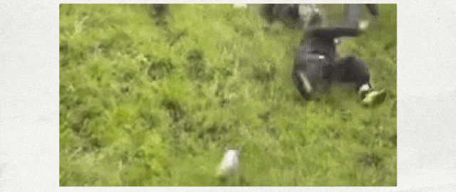 为什么要把奶酪做成三角形？