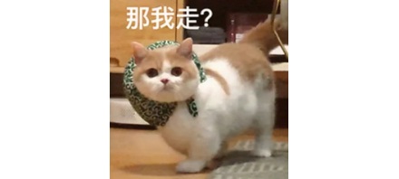 为什么南京要移走紫金山上的仙人掌？