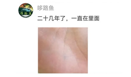 扎进皮肤里的各种刺，不管它们会怎么样？