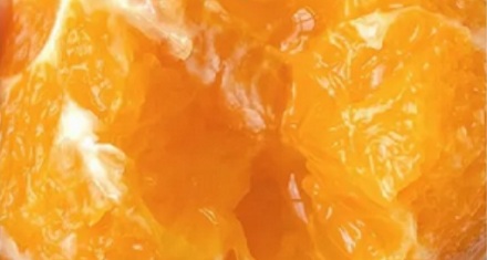 为什么说全世界的脐橙都来自同一棵树？