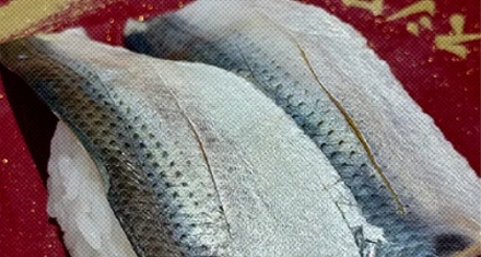 为什么说小肌鱼是日料店里「最歹毒」的鱼？