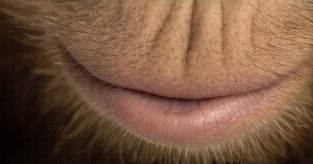 古人吃的「猩唇」是什么？是猩猩的嘴唇吗？