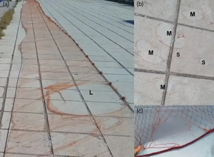 为什么打渔时要在网上抹辣酱？