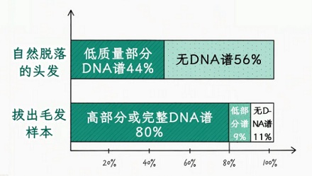 为什么电视剧里做亲子鉴定还非要偷偷拔头发？捡地上的不行吗？