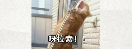 为什么蝉鸣会让人听力受损？
